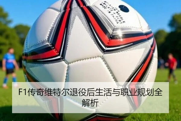 F1传奇维特尔退役后生活与职业规划全解析