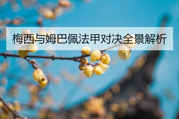 mei-xi-yu-mu-ba-pei-fa-jia-dui-jue-quan-jing-jie-xi-2-144.jpg